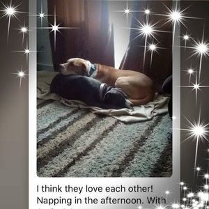 Meet your Posher, Andy